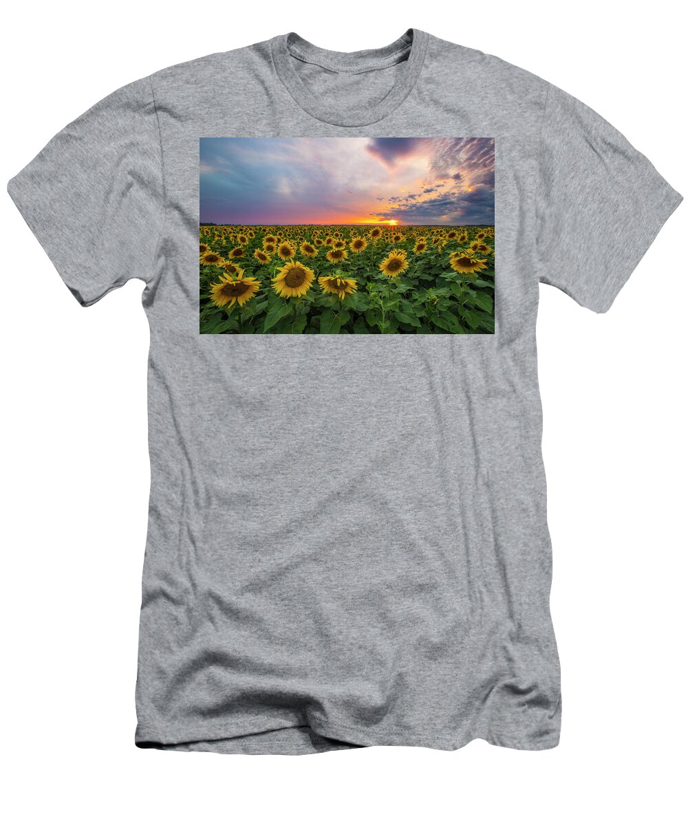 Sunflowers T-Shirt featuring the photograph Somewhere Sunny by Aaron J Groen