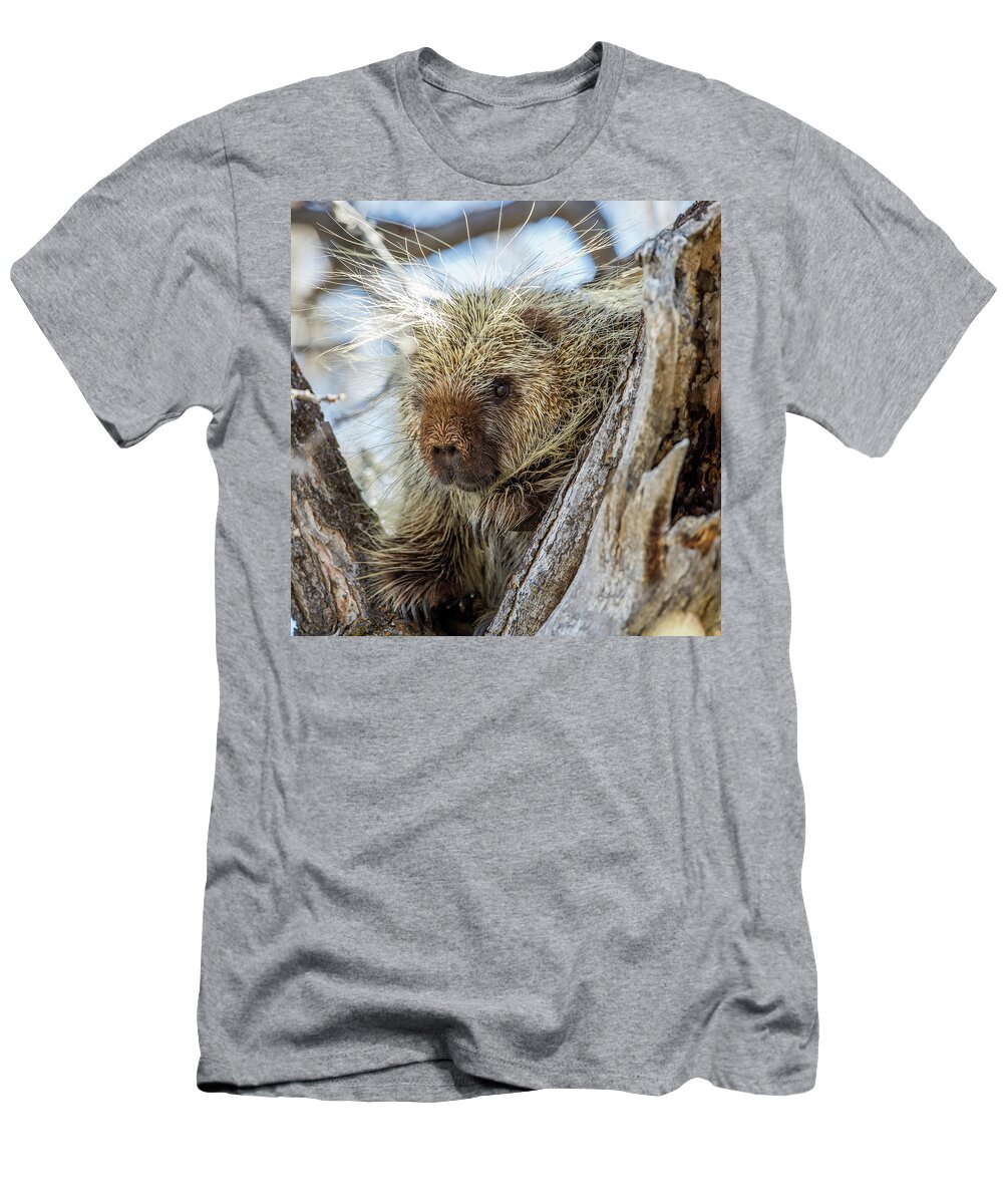 Porcupine T-Shirt featuring the photograph Soul Center by Kevin Dietrich