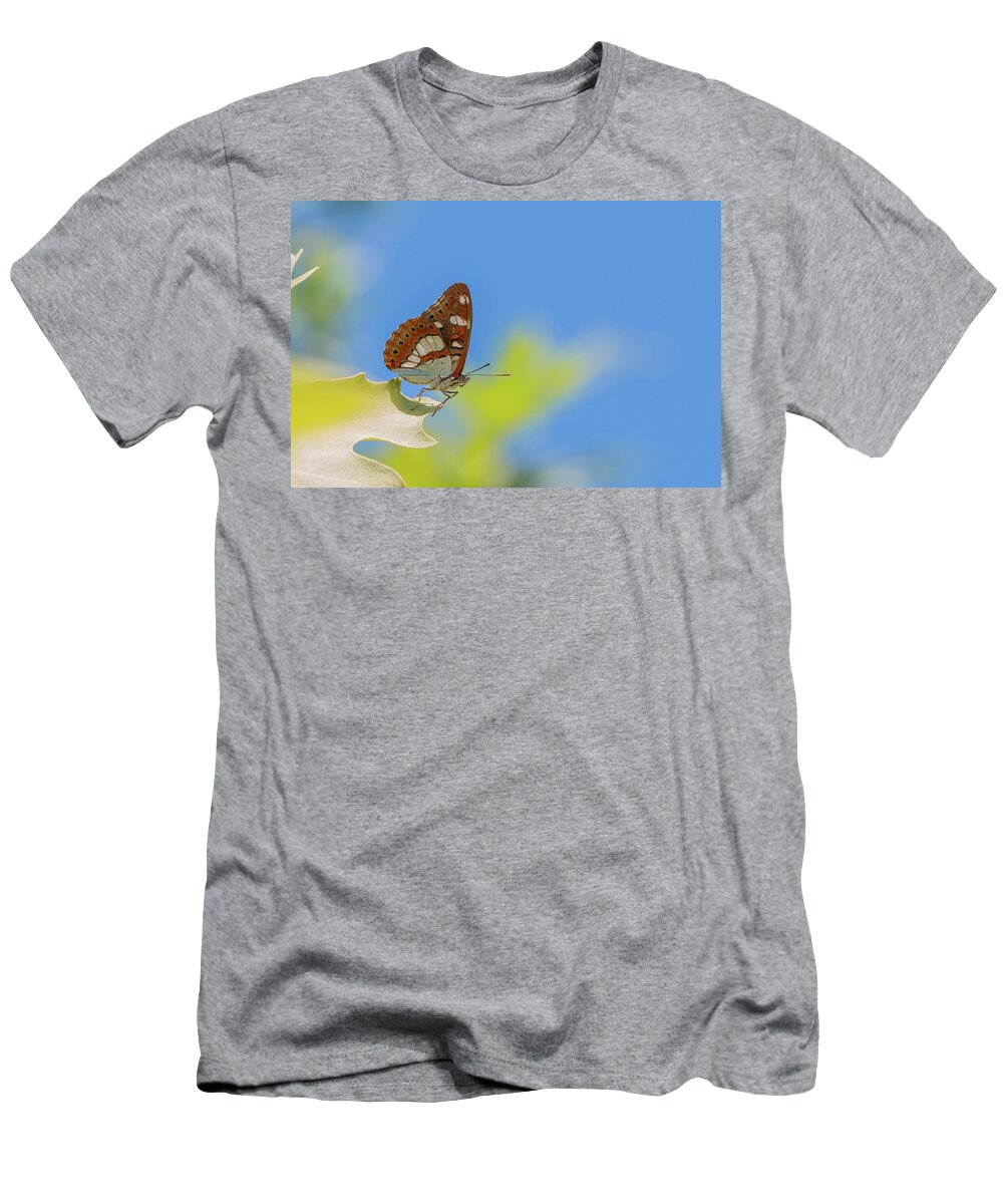 Animal T-Shirt featuring the photograph Southern White Admiral - Limenitis reducta by Jivko Nakev