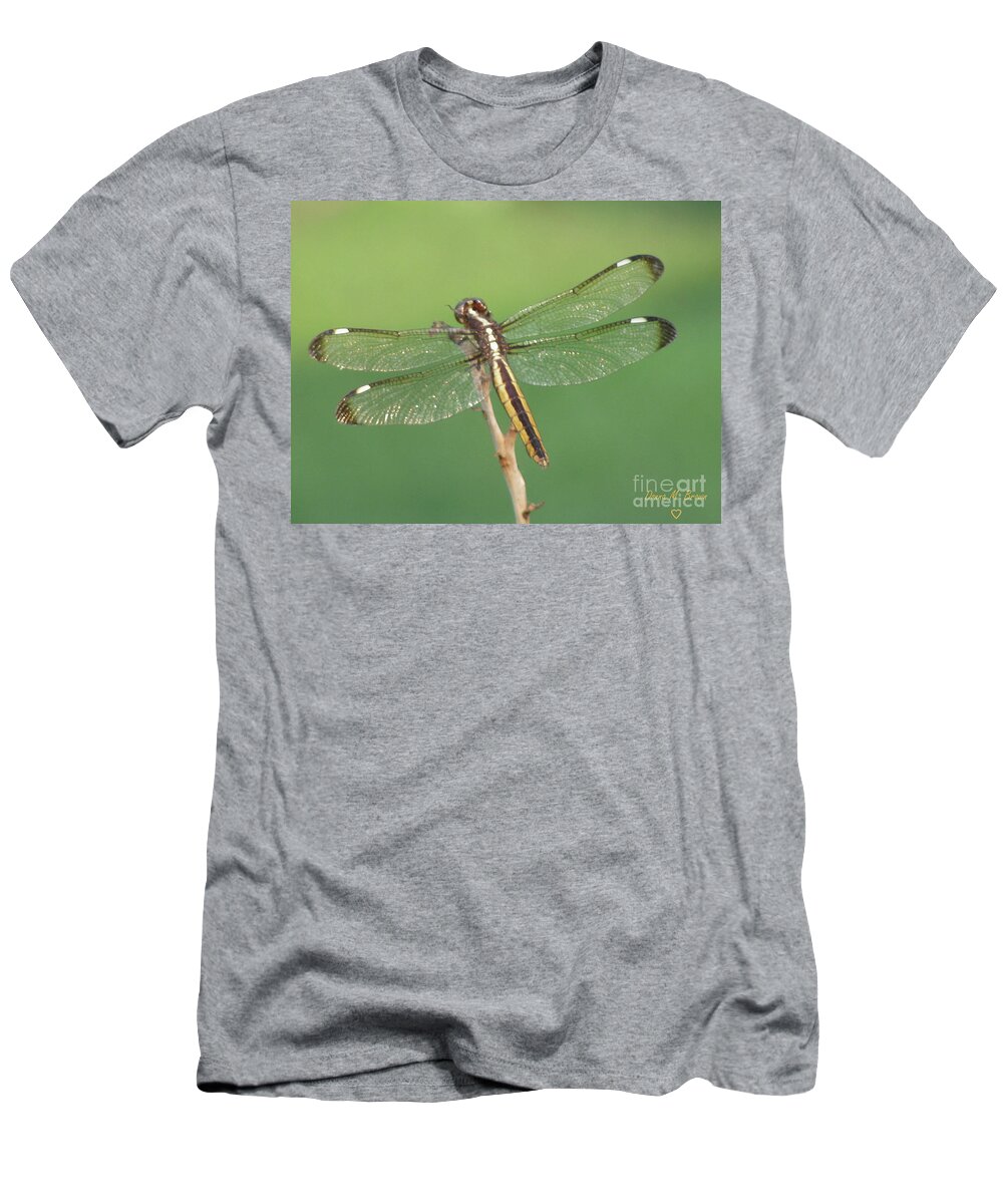 Insect T-Shirt featuring the photograph Spangled Skimmer Dragonfly Female by Donna Brown