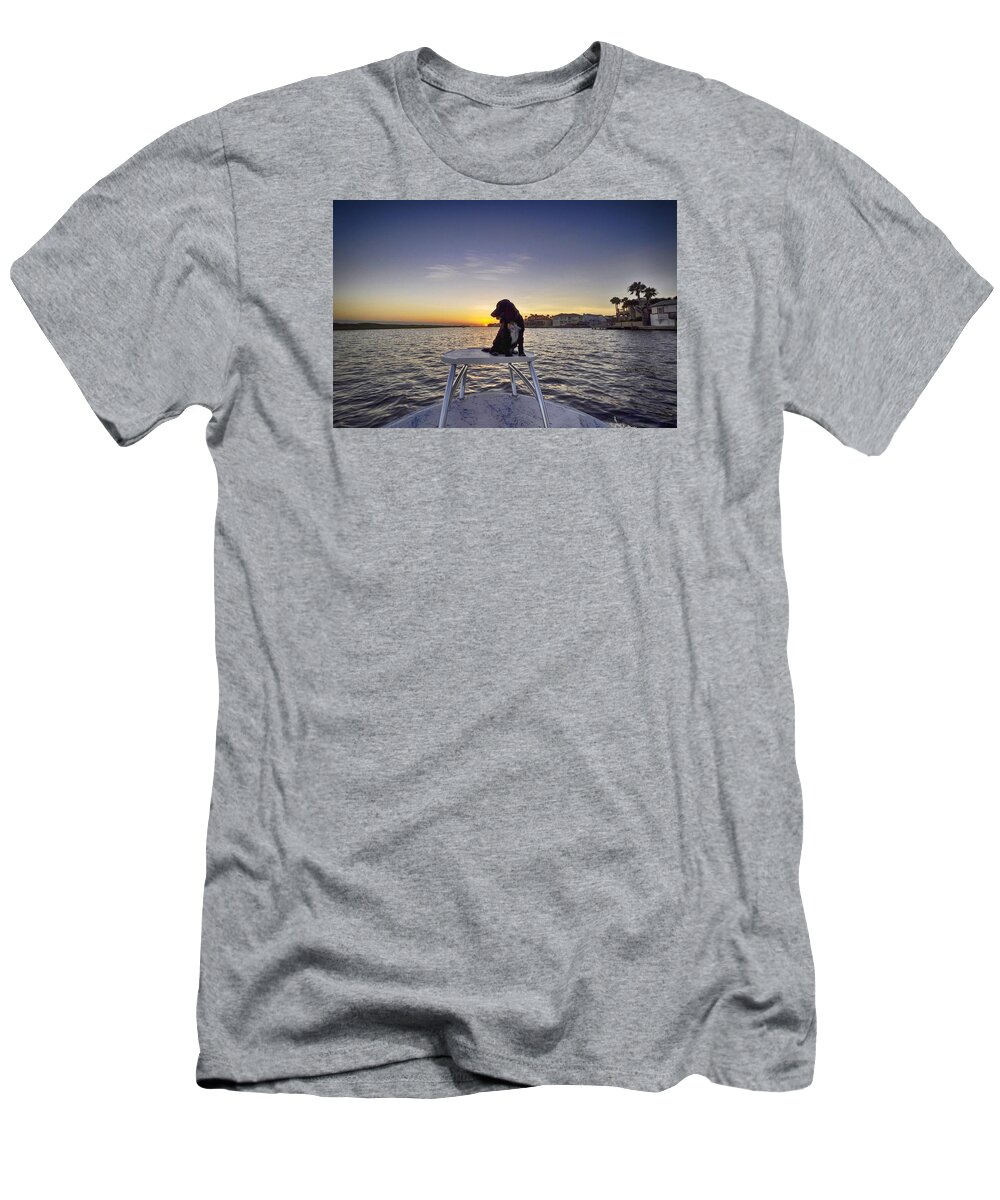 Spaniel T-Shirt featuring the photograph Spaniel at Sunset by Kristina Deane