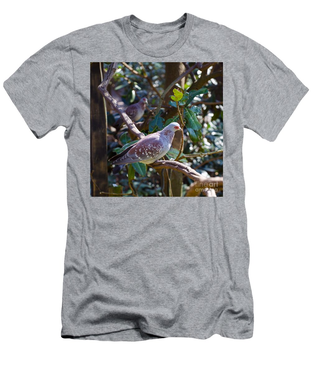 Bird T-Shirt featuring the photograph Speckle Pigeon by Donna Brown