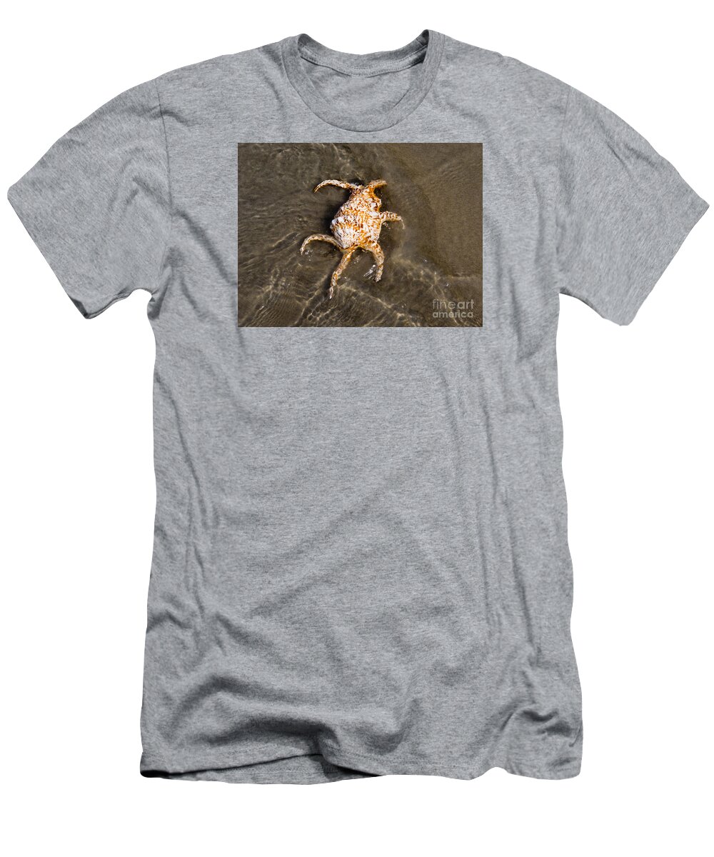 Spider Conch T-Shirt featuring the photograph Spider Conch by Anthony Totah