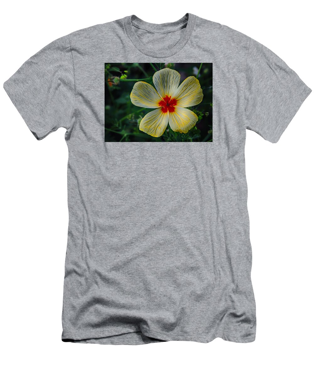 Flowers T-Shirt featuring the photograph Splash Of Red by Elaine Malott