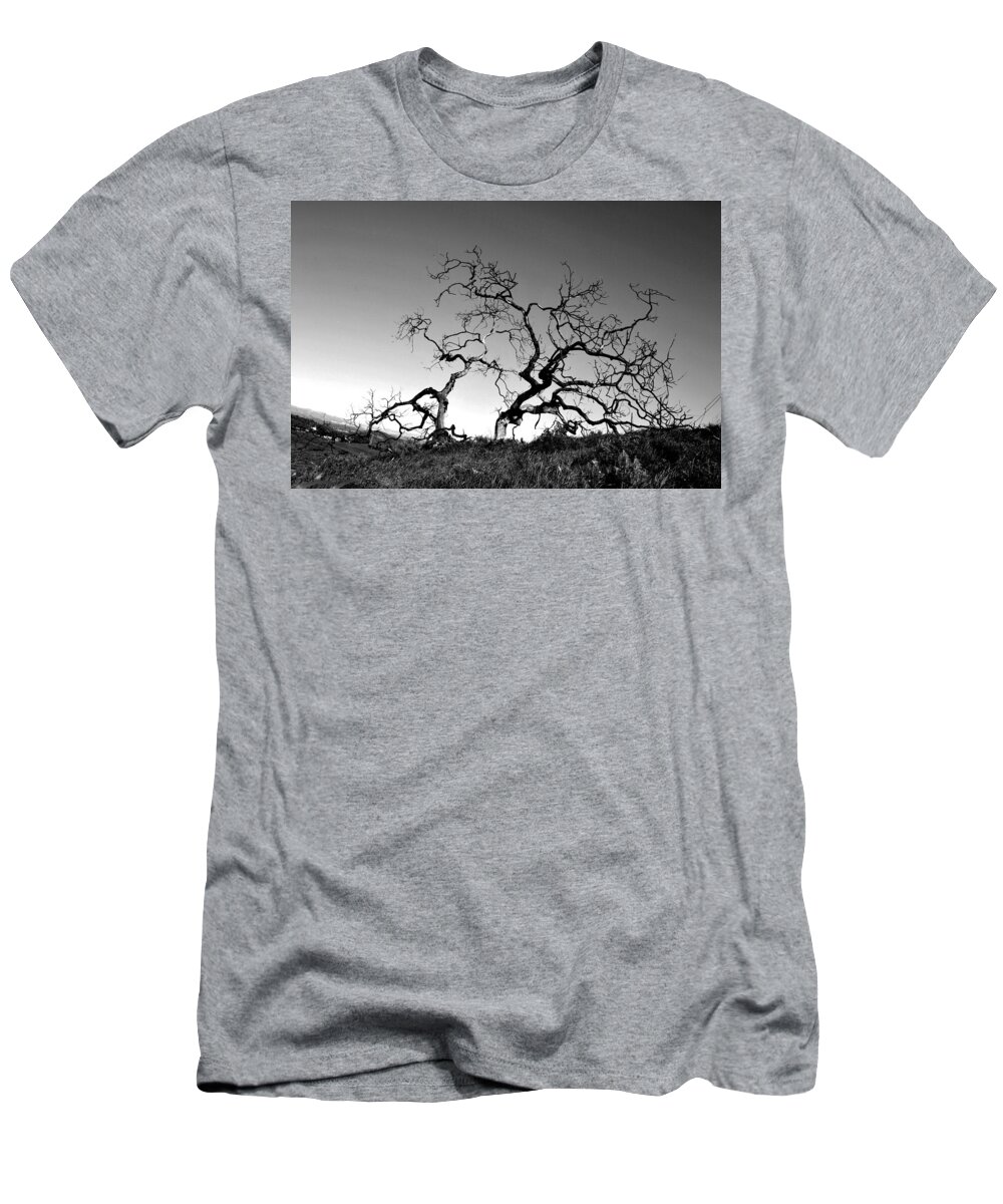 Tree T-Shirt featuring the photograph Split Single Tree on Hillside - Black and White by Matt Quest