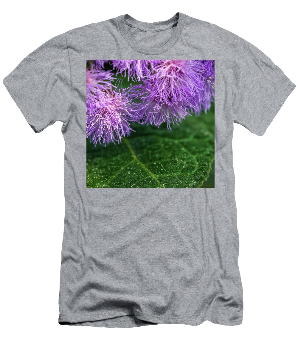 Flower T-Shirt featuring the photograph Spring Cleaning by Ken Stanback