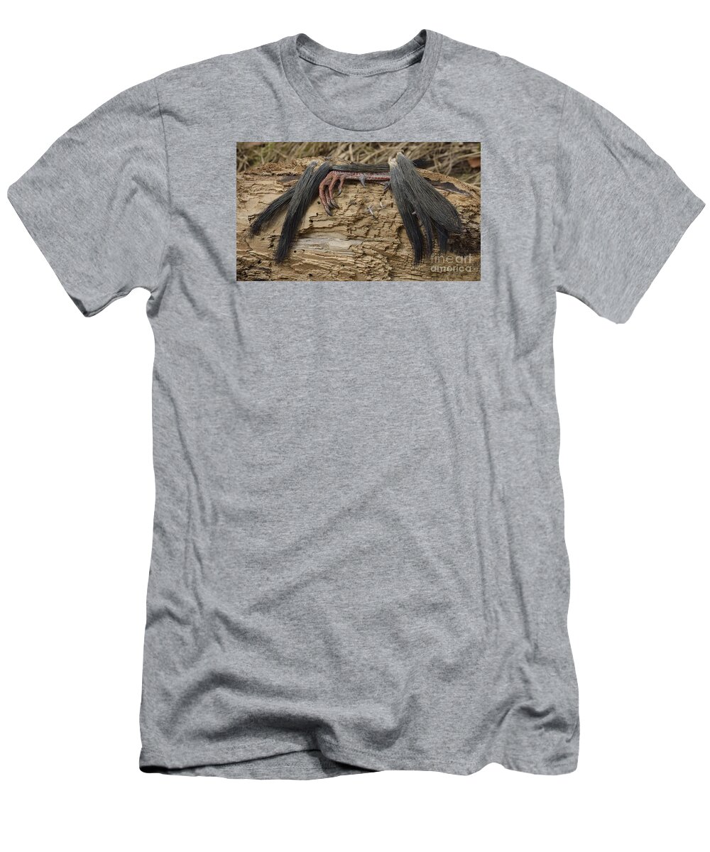 High Virginia Images T-Shirt featuring the photograph Spring Feathers by Randy Bodkins