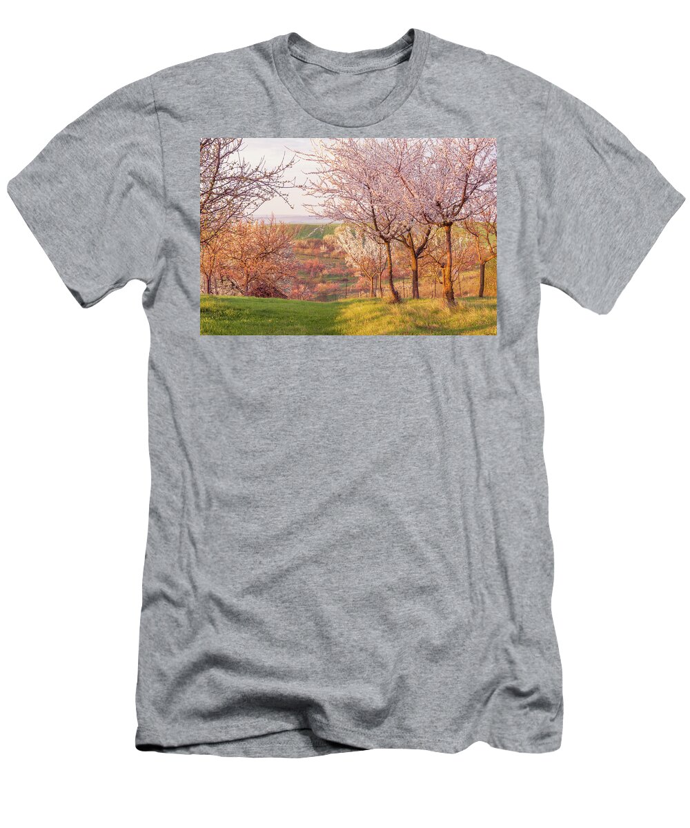 Jenny Rainbow Fine Art Photography T-Shirt featuring the photograph Spring Orchard with Morring Sun by Jenny Rainbow