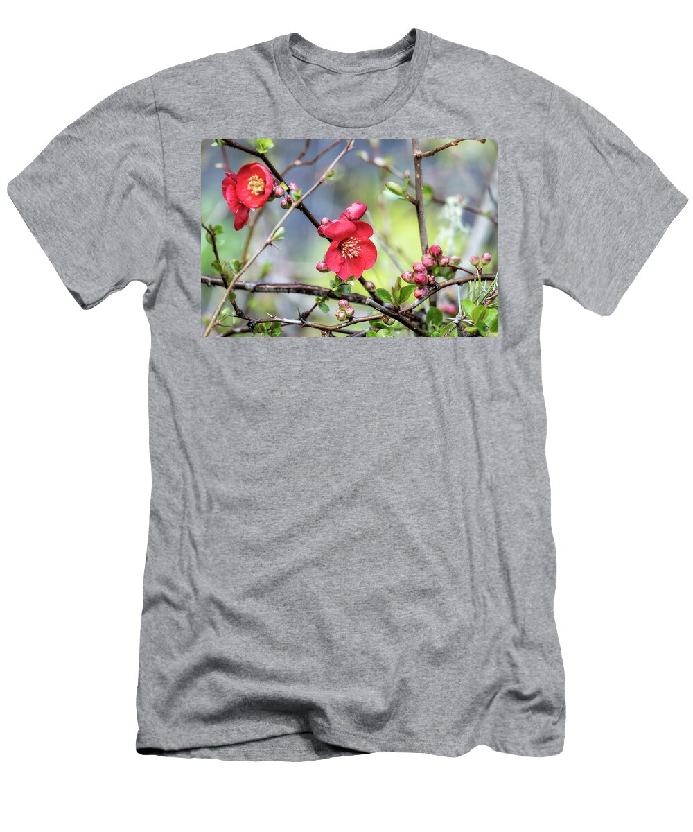 Quince T-Shirt featuring the photograph Spring Starts with Quince by Belinda Greb