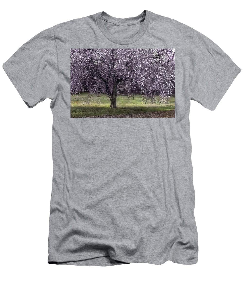 Apple Tree T-Shirt featuring the photograph Spring Time In The Country by Mike Eingle
