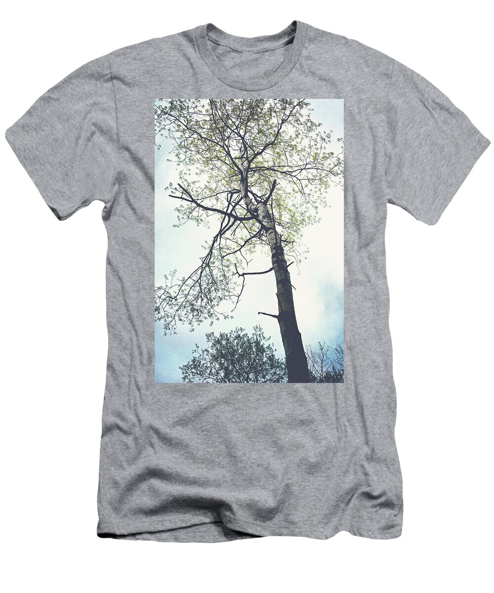 Tall Tree Print T-Shirt featuring the photograph Standing Glory Tree Print by Gwen Gibson