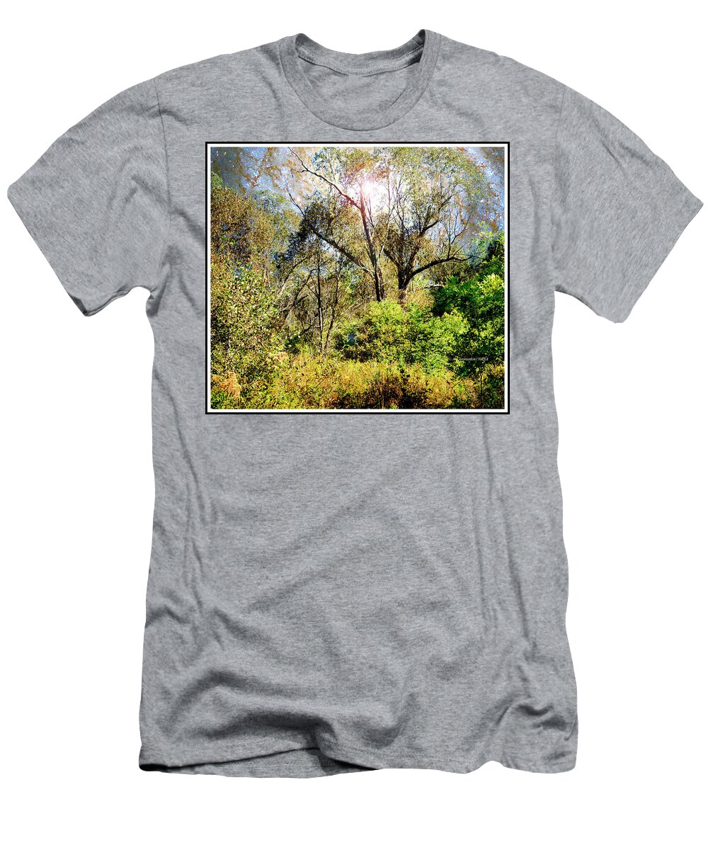 Starry T-Shirt featuring the photograph Starry Night Fantasy, Mountain Thicket by A Macarthur Gurmankin