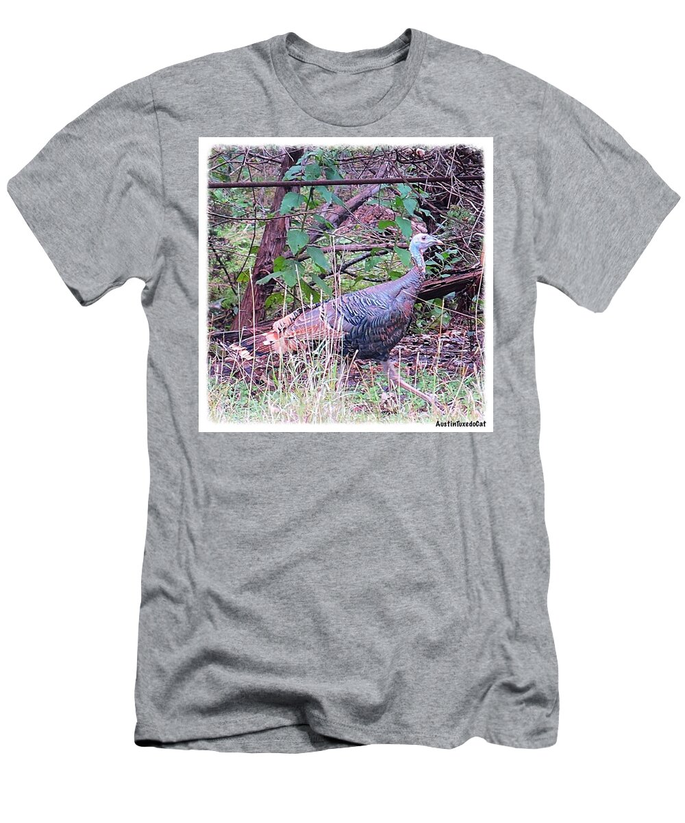 Keepaustinweird T-Shirt featuring the photograph Stay Safe Ms. #turkey! It Is Almost by Austin Tuxedo Cat