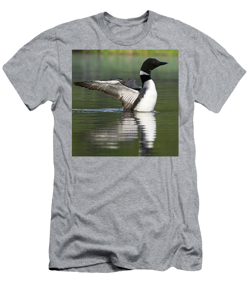 Bird T-Shirt featuring the photograph Stretching My Wings by Darryl Hendricks