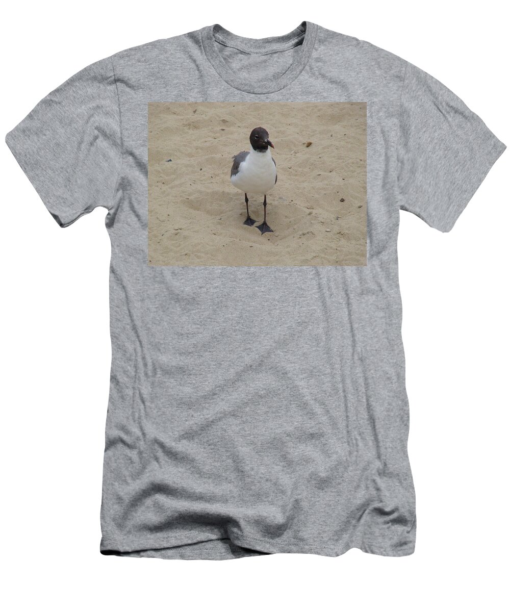 Seagull T-Shirt featuring the photograph Struttin' Seagull by Charles Kraus