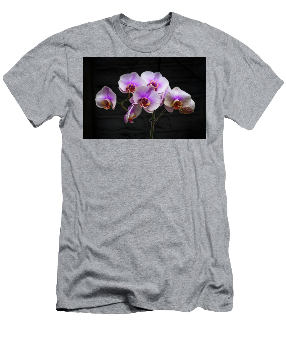 Flowers T-Shirt featuring the photograph Stunning Pink Orchids by David French