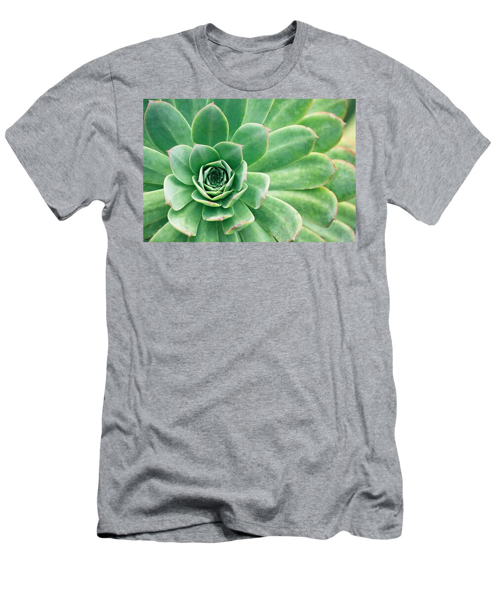 Plants T-Shirt featuring the photograph Succulents II by Angie Schutt