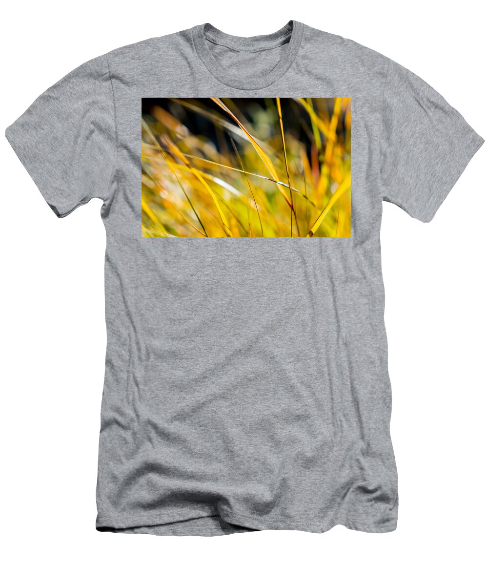 California T-Shirt featuring the photograph Summer Breeze by Derek Dean