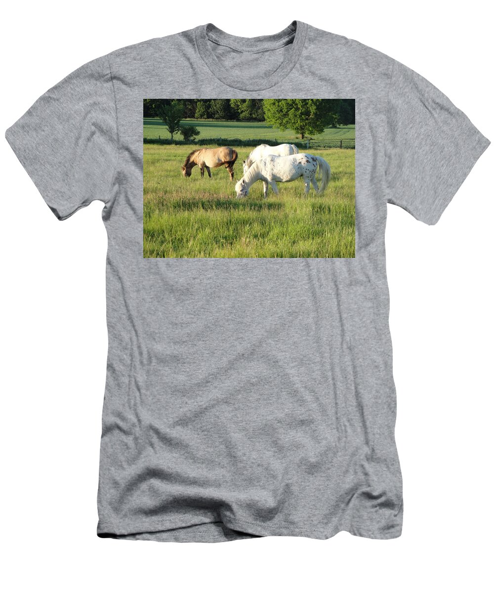Pony T-Shirt featuring the photograph Summer grazing by Susan Baker