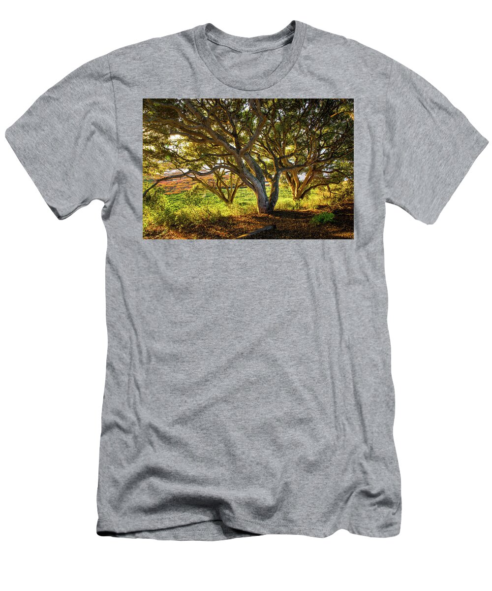 California T-Shirt featuring the photograph Sun Kissed Morning by Joe Azevedo