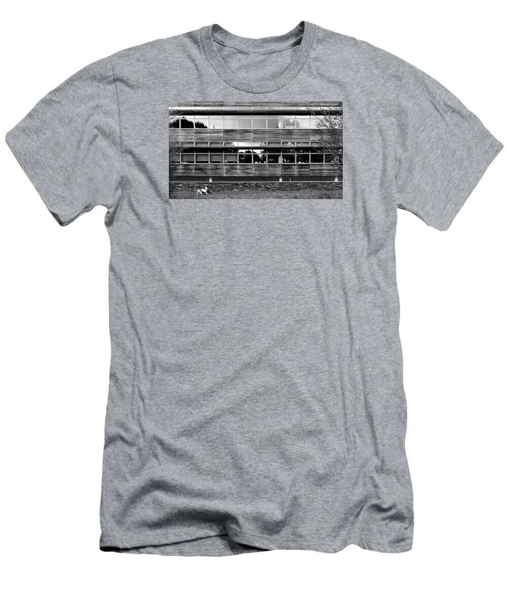 Street Photography T-Shirt featuring the photograph Sunday walk by Pedro Fernandez