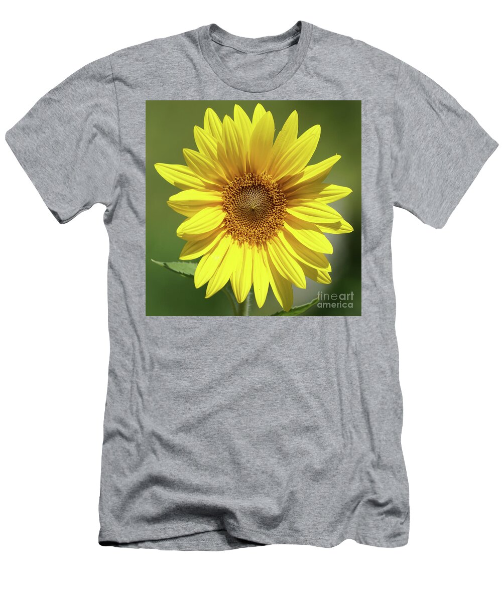 Sunflower T-Shirt featuring the photograph Sunflower in the Sun by Robert E Alter Reflections of Infinity
