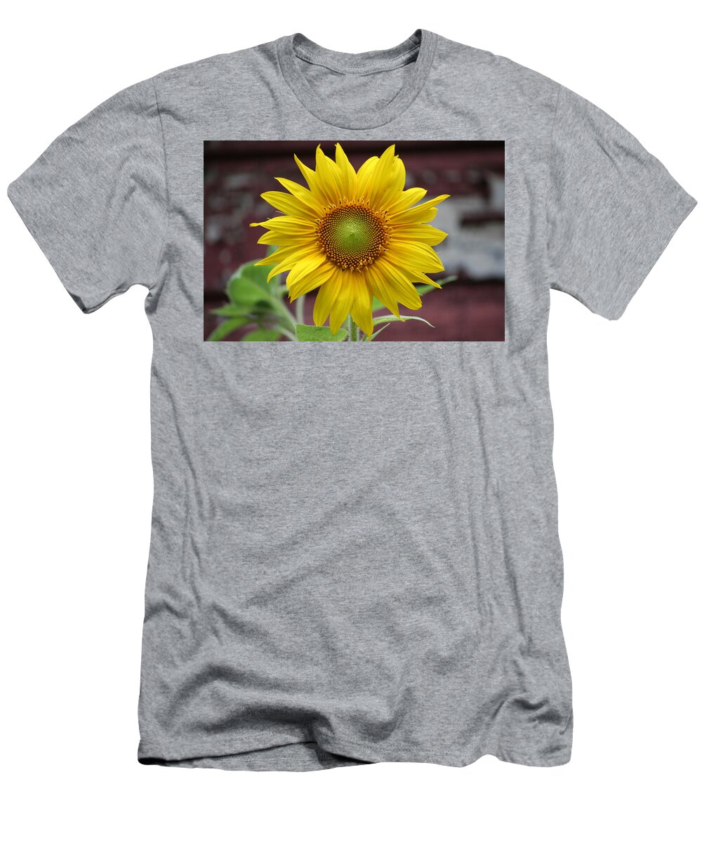  T-Shirt featuring the photograph Sunflower Queen by Aggy Duveen