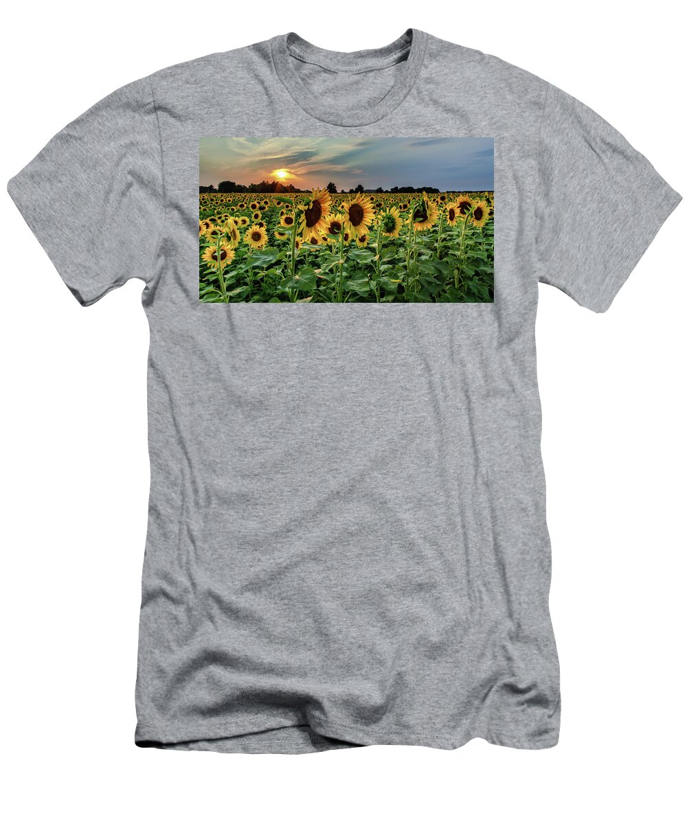 Sunset T-Shirt featuring the photograph Sunflower Sunset by Rod Best