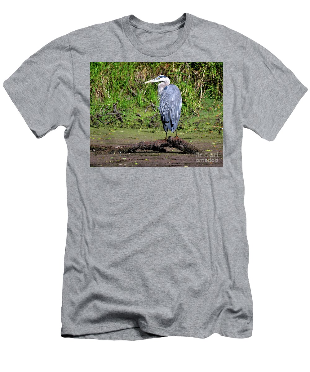Denise Bruchman T-Shirt featuring the photograph Sunning Great Blue Heron by Denise Bruchman