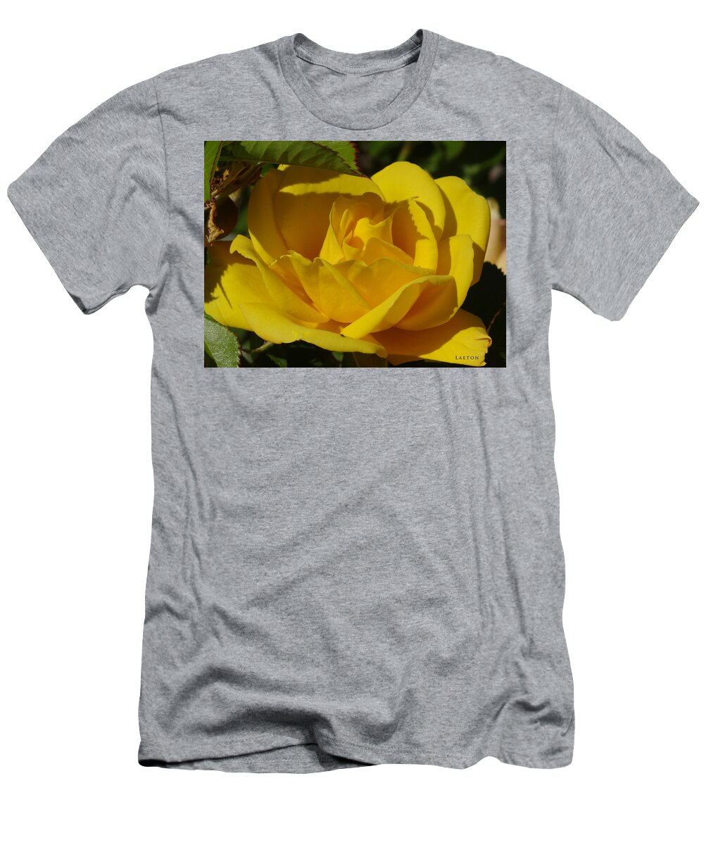 Yellow Rose T-Shirt featuring the mixed media Sunshine Rose by Richard Laeton
