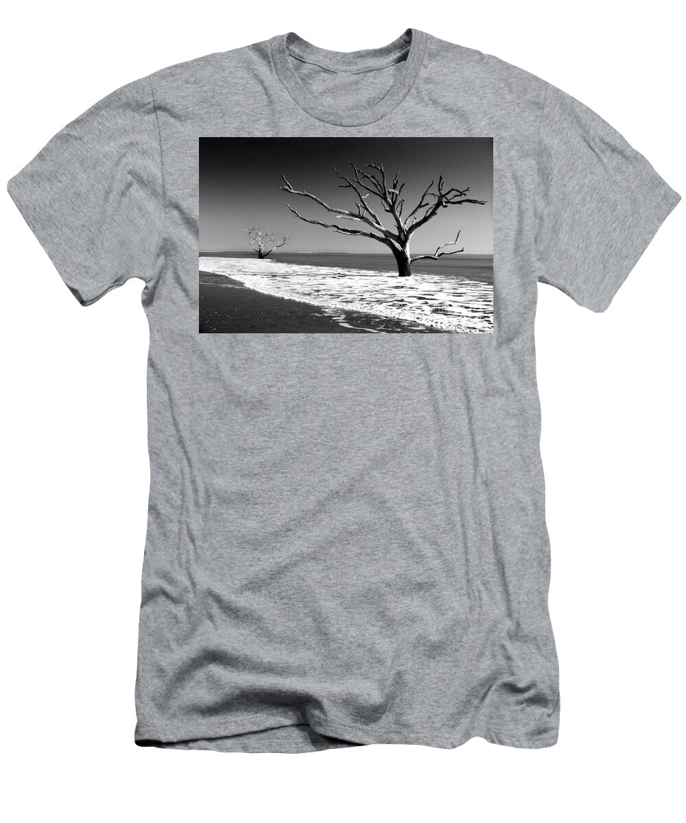 Trees T-Shirt featuring the photograph Survivor by Dana DiPasquale