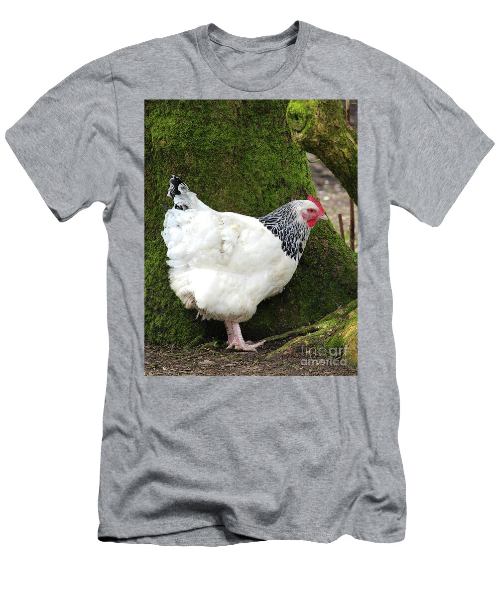 Sussex Chicken T-Shirt featuring the photograph Sussex Chicken Omagh Northern Ireland by Eddie Barron