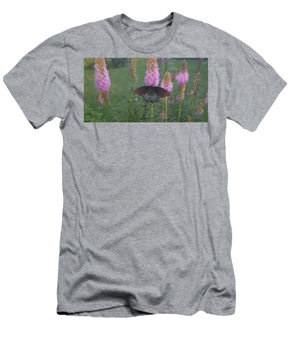 Butterfly T-Shirt featuring the photograph Swallowtail on a Liatris by Jane Erhardt