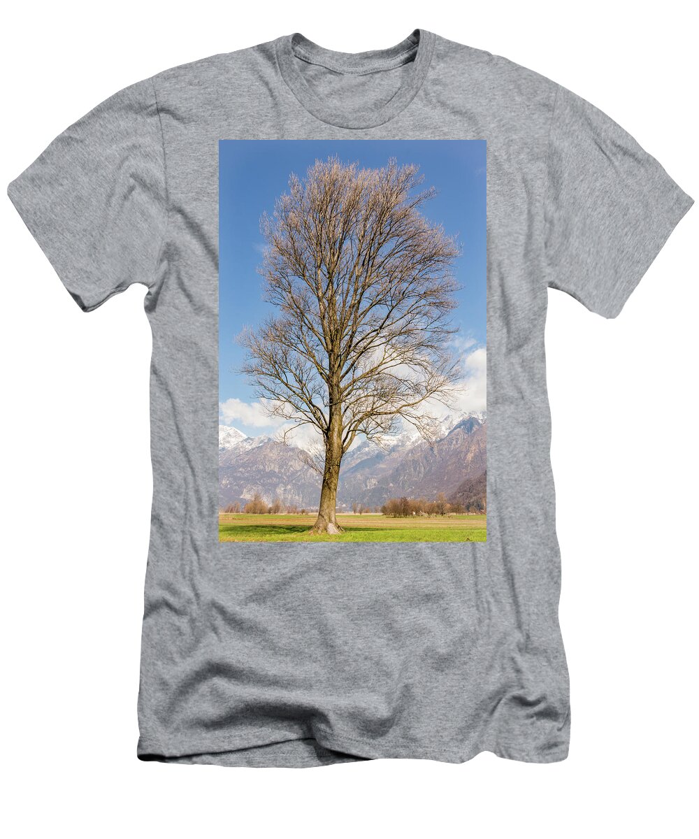 2018 T-Shirt featuring the photograph Tall Tree by Pavel Melnikov