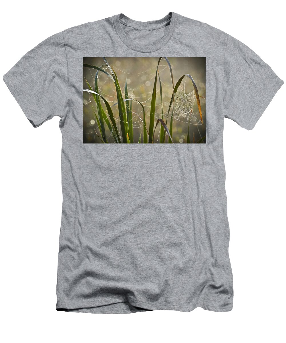 Foggy Morning T-Shirt featuring the photograph Tangled Highway by Carolyn Marshall