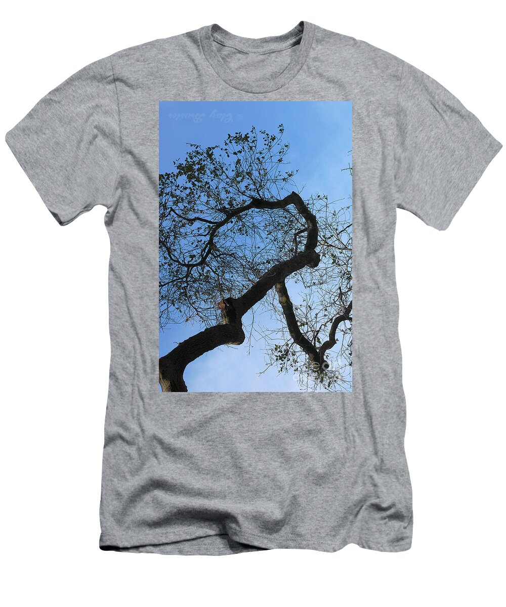 Clay T-Shirt featuring the photograph Termite View by Clayton Bruster