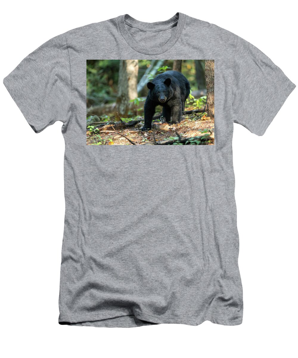 Bear T-Shirt featuring the photograph The Bear by Everet Regal