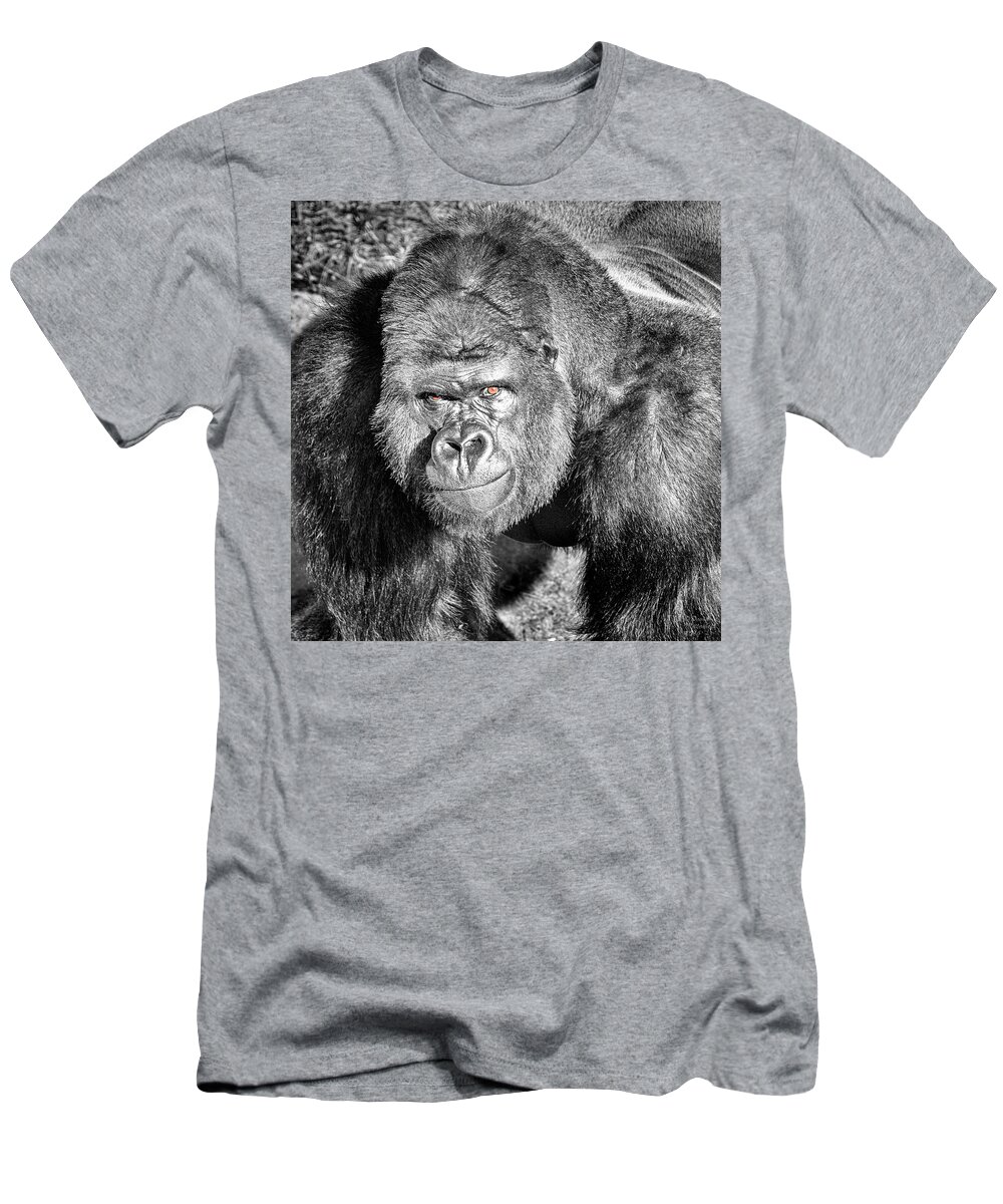 The Bouncer T-Shirt featuring the photograph The Bouncer Gorilla by David Millenheft