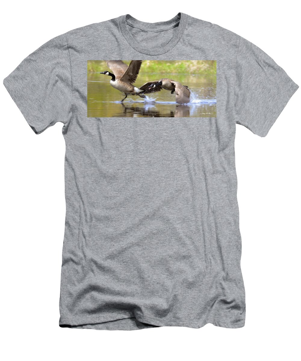 Geese T-Shirt featuring the photograph The Chase by Harry Moulton