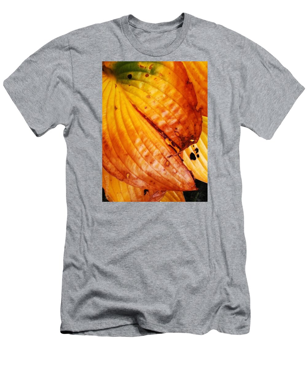 Autumn T-Shirt featuring the photograph The Colors of Autumn by Mimulux Patricia No