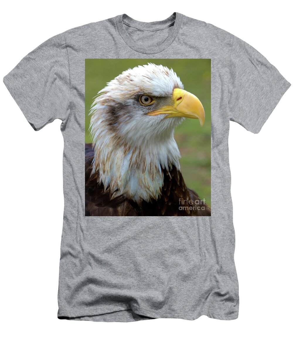 Bird T-Shirt featuring the photograph The Gaurdian by Stephen Melia