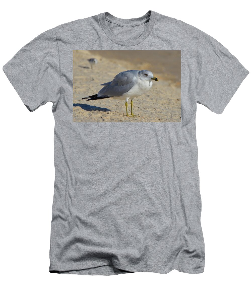 Seagull T-Shirt featuring the photograph The General by Carla Parris