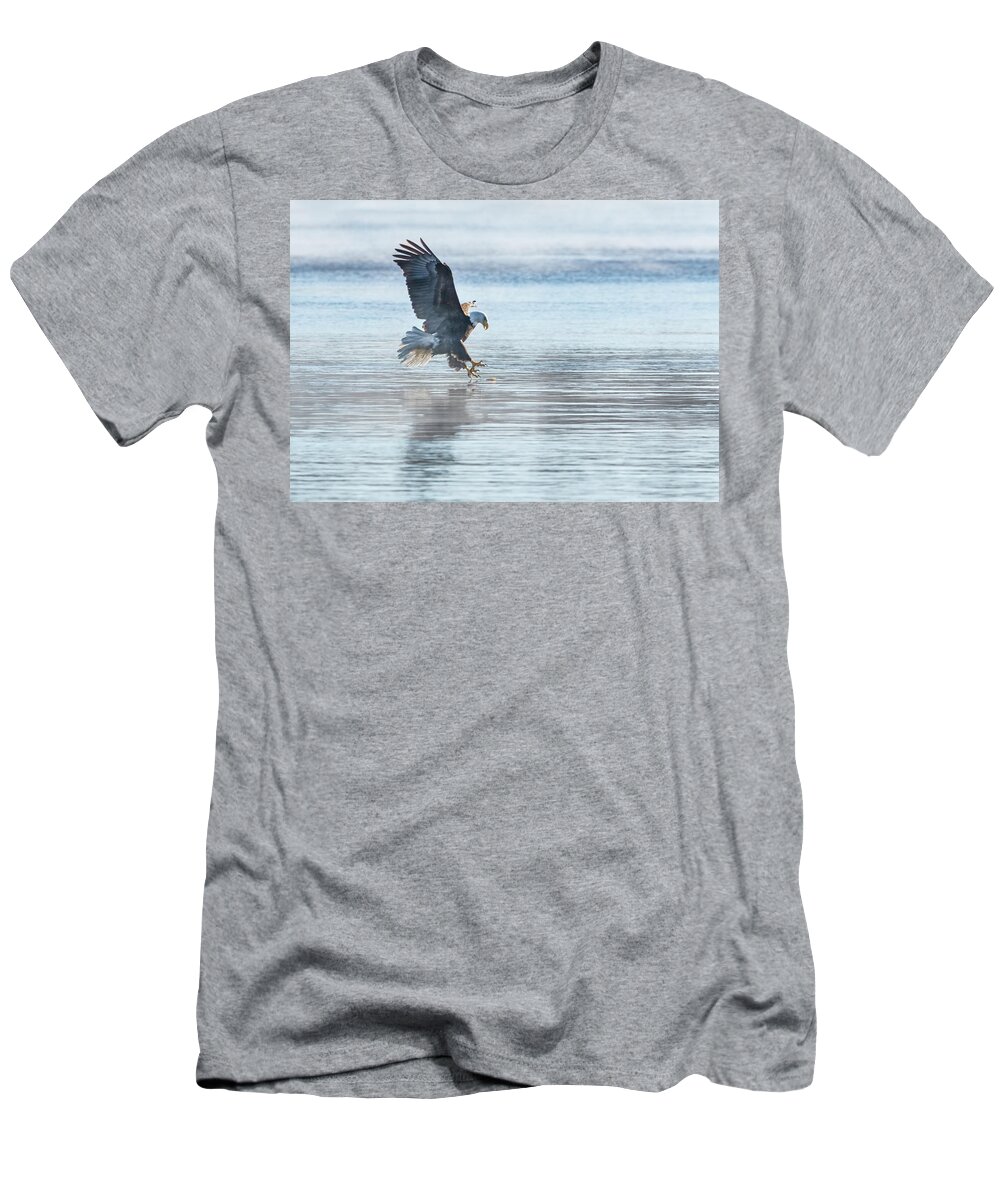 American Bald Eagle T-Shirt featuring the photograph The Great American Bald Eagle 2016-15 by Thomas Young