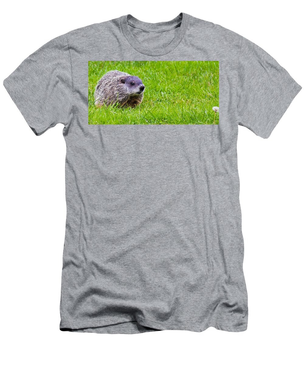 Groundhog T-Shirt featuring the photograph The Hunting Groundhog by Jonny D