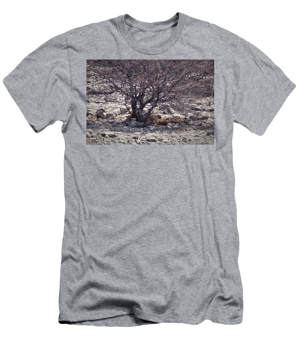 Namibia T-Shirt featuring the photograph The Lion Family by Ernest Echols