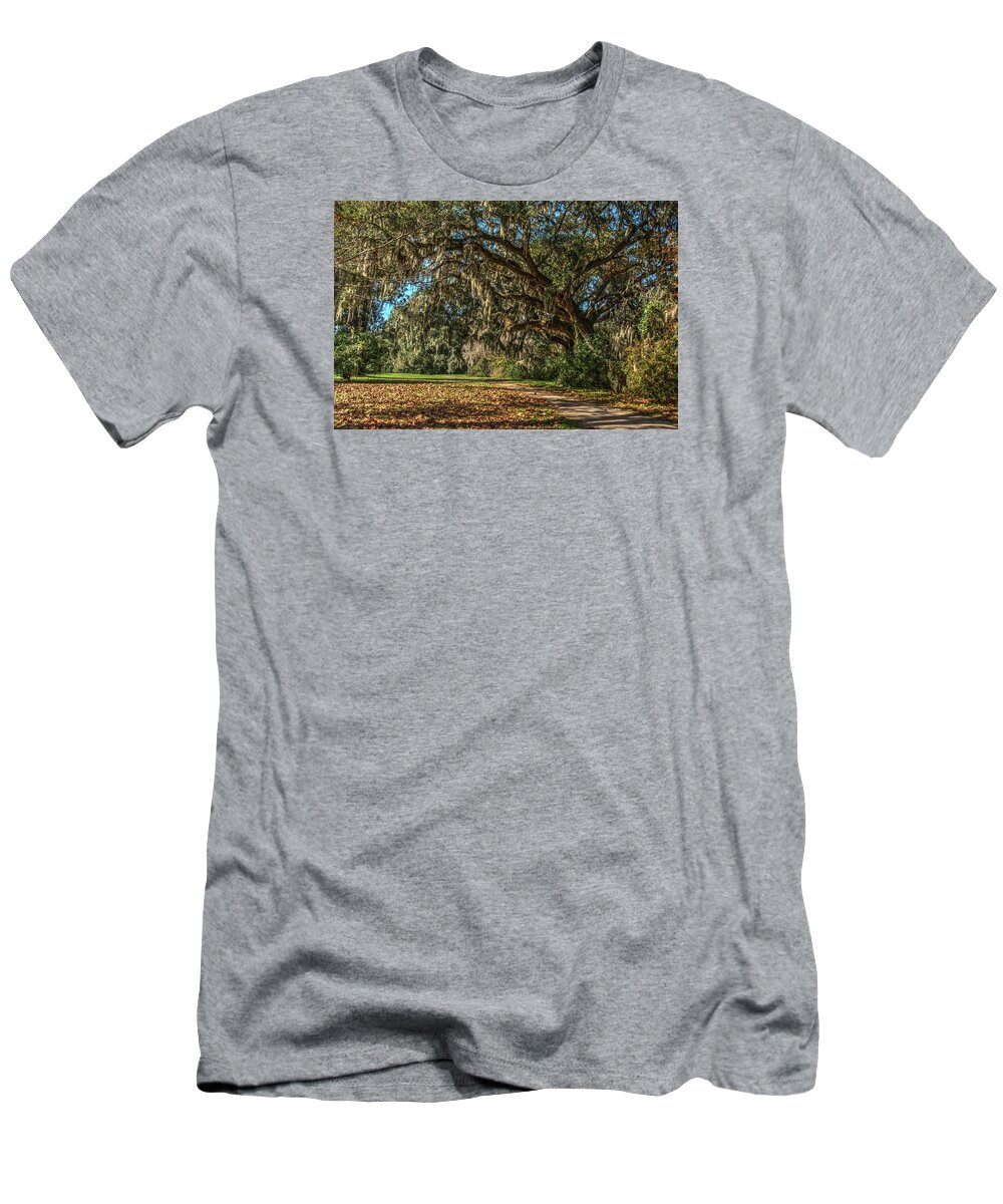 Beauty T-Shirt featuring the photograph The Mighty Oaks 1 by Dimitry Papkov