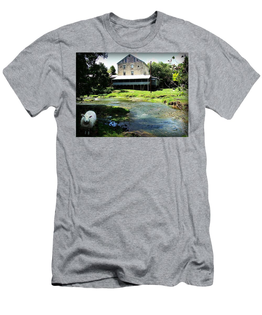 Animal T-Shirt featuring the photograph The Curious Sheep by Stacie Siemsen