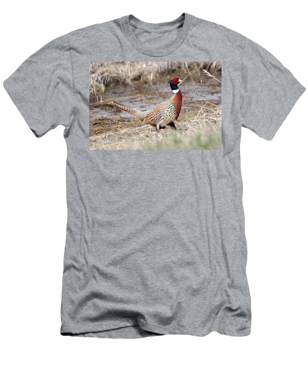 Rooster T-Shirt featuring the photograph The walk by Lori Tordsen