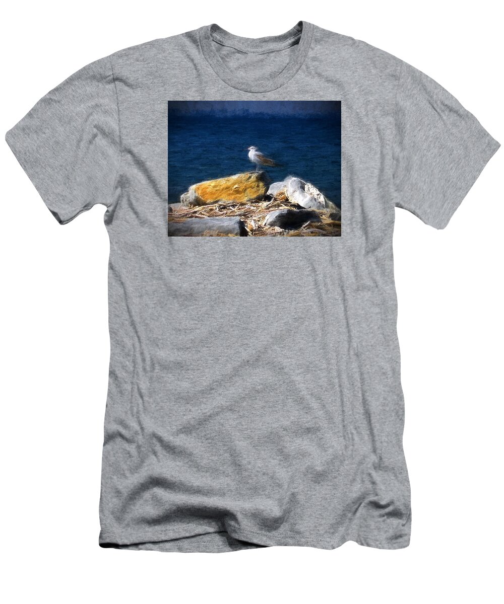 Seagull T-Shirt featuring the photograph This Gull Has Flown by John Freidenberg