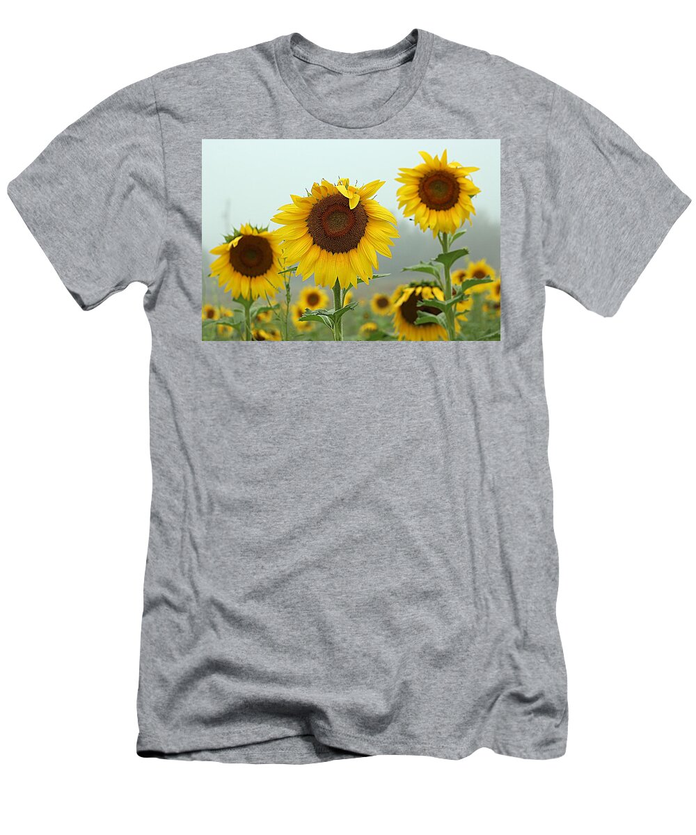 Three Sunflowers T-Shirt featuring the photograph Three Amigos in a Field by Karen McKenzie McAdoo